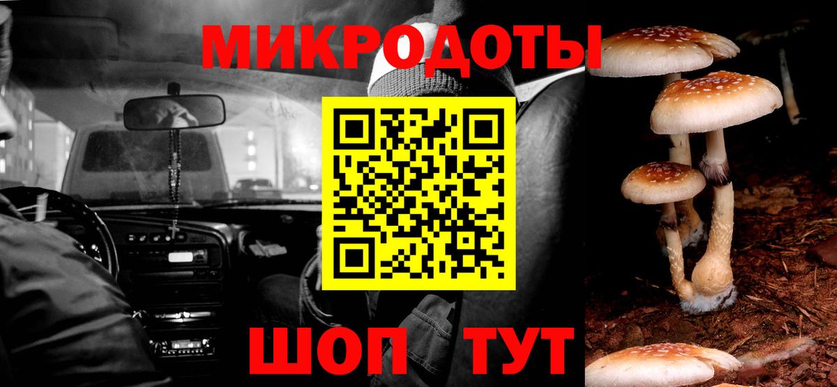 Лесосибирск  Псилоцибиновые грибы прущие грибы  Вход с VPN 